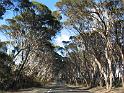 Kangaroo Island (31)